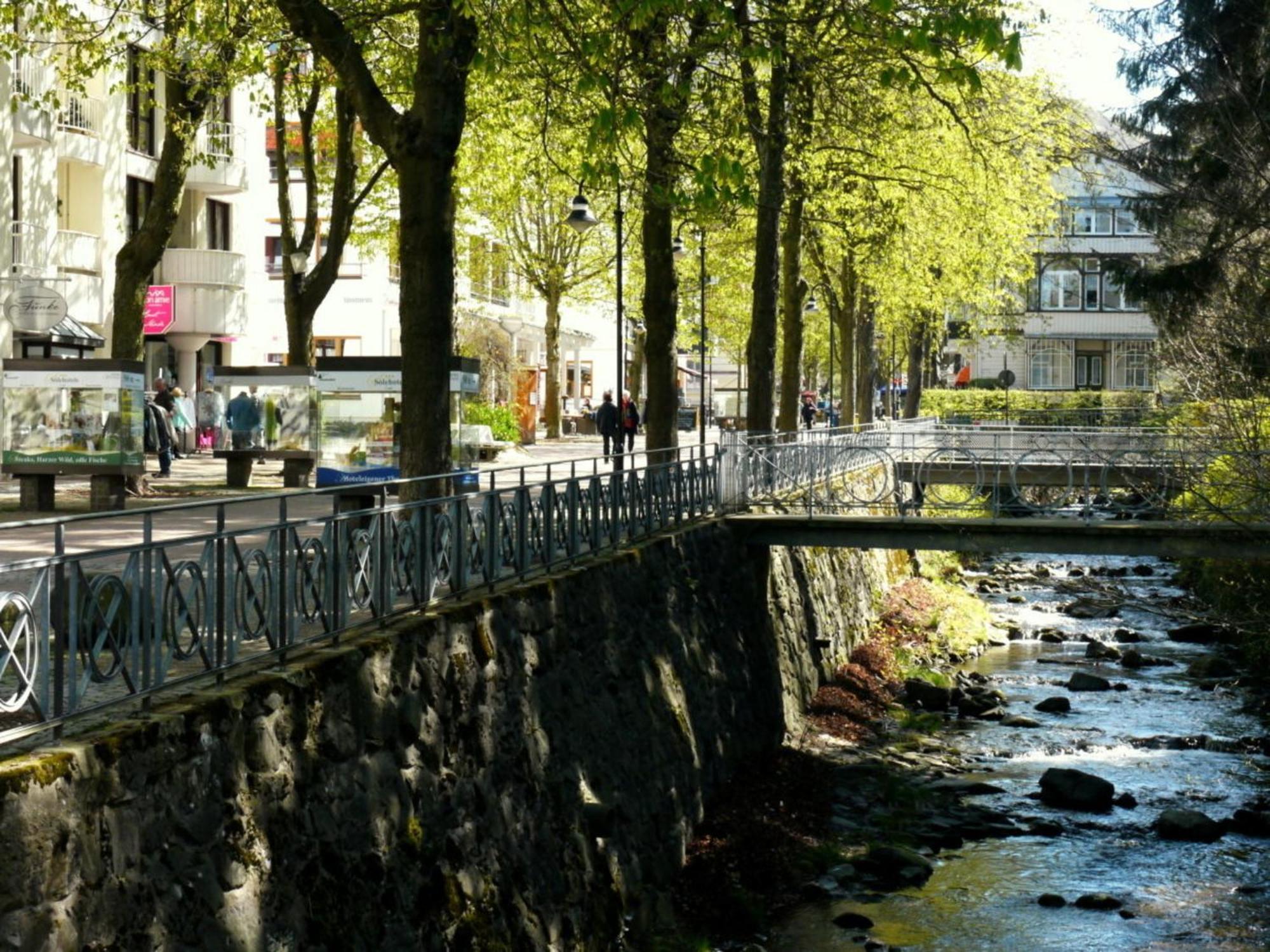 Apartamento Henning Bad Harzburg Exterior foto